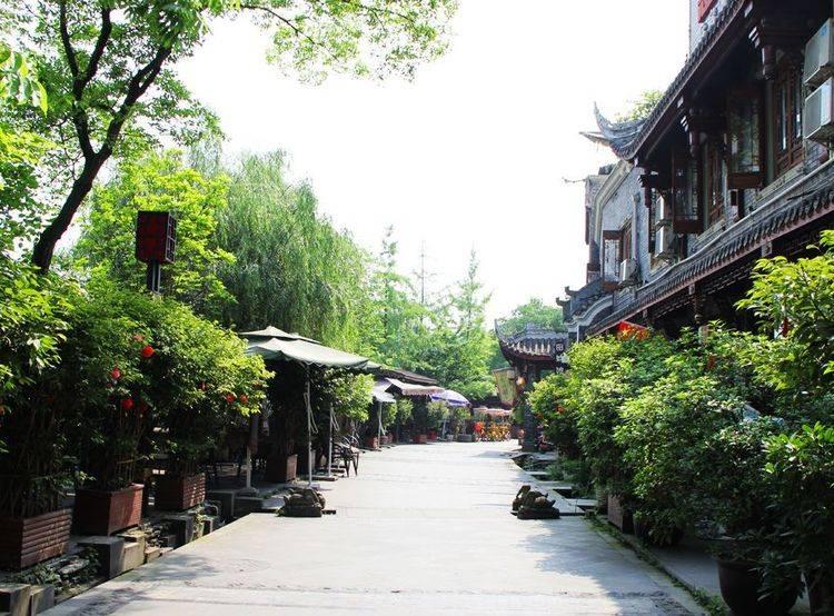 探索如何评价王心凌的唱功?,无限知识汇聚